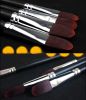 12 PCS Art Supplies Paint Brush Acrylic Paint Oil Painting